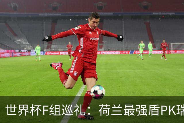 世界杯F组巡礼：荷兰最强盾PK瑞典犀利刀 日本短板明显